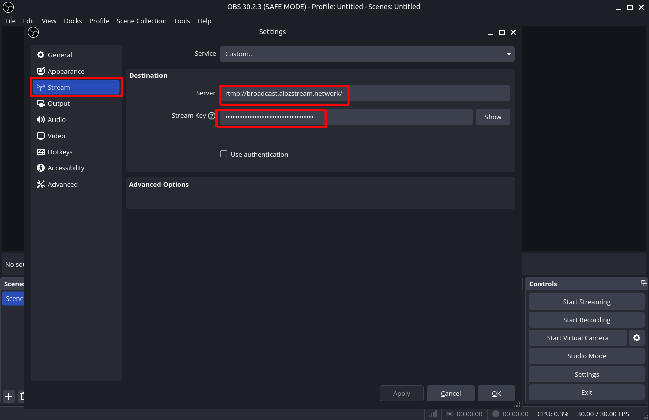 OBS Stream Settings - Server and Key